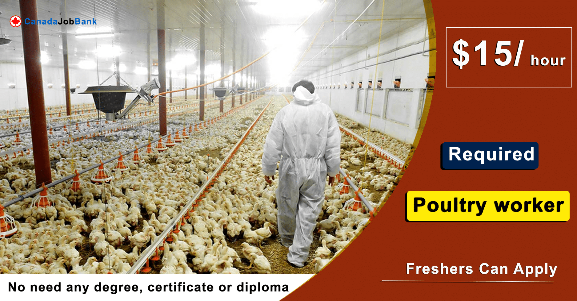 Hiring now: Poultry Worker - Meat Packing Plant - Canada Job Bank