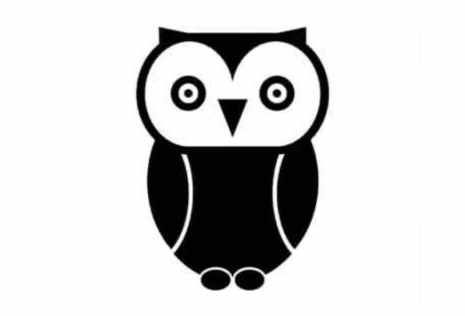 Morning owl coffee house and variety logo