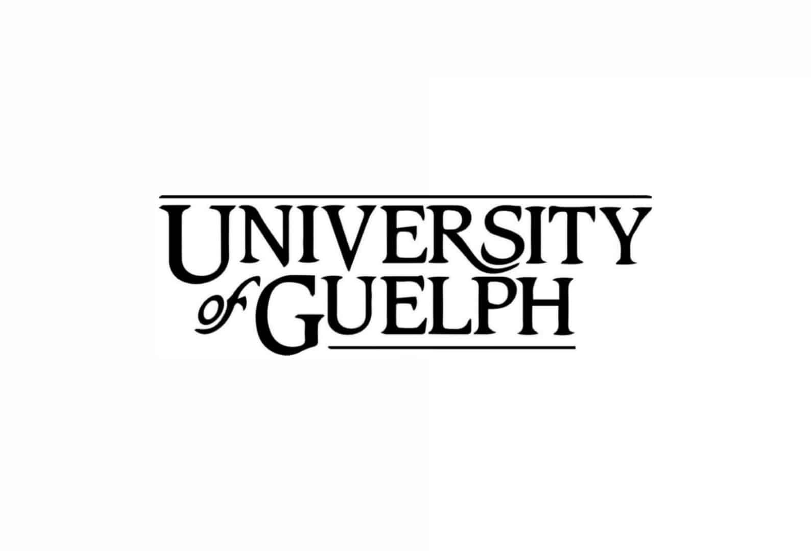 Hiring now Assistant Professor University 115,000/ year Guelph, ON