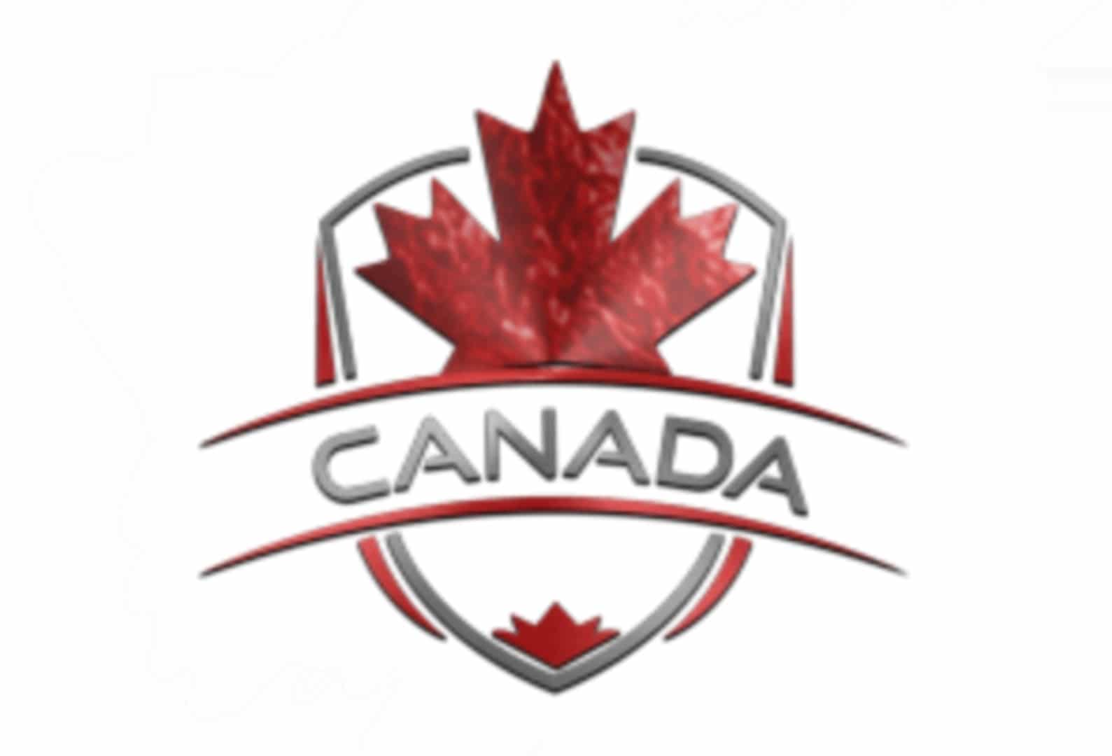 DS Canada Painting logo