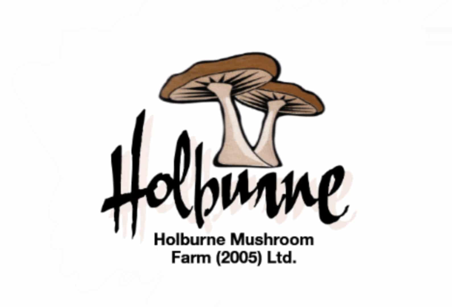 Holburne Mushroom Farm (2005) Limited logo