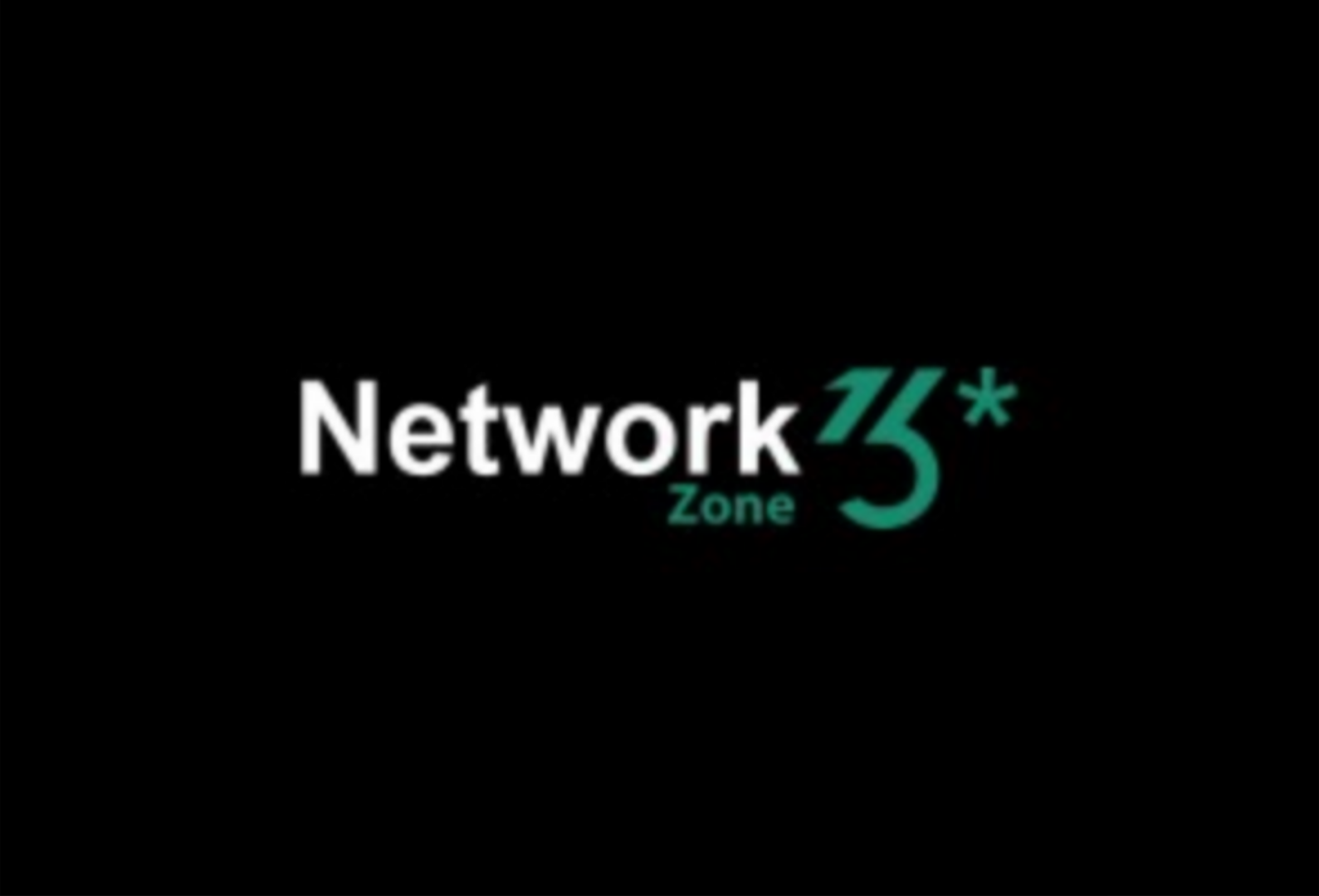 Networkzone13 Ltd. logo